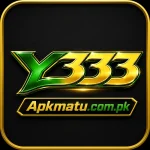 Y333 Game
