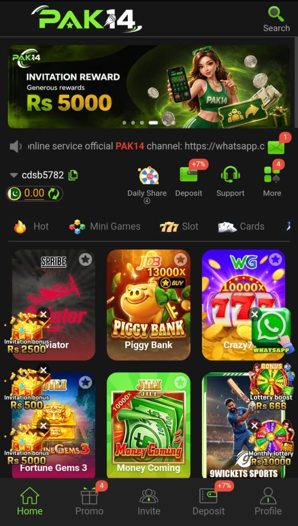 PAK14 Game